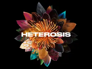 OG.ART & Mat Collishaw on the dynamic NFT Heterosis project