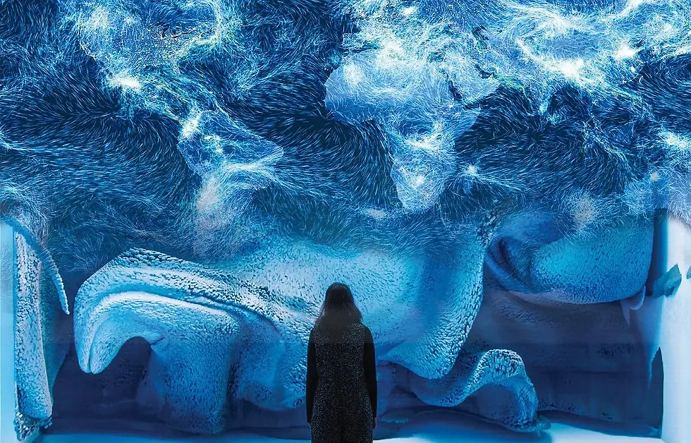 Refik Anadol, Maurice Benayoun8