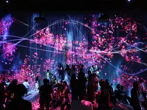 Five Books You Should Read to Understand Digital Art