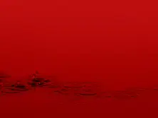 “Cleaning the House” Workshops By Marina Abramovic Are Now Open For Wide Audience