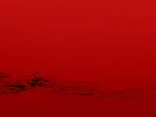 “Cleaning the House” Workshops By Marina Abramovic Are Now Open For Wide Audience