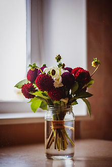 Chrysanthème