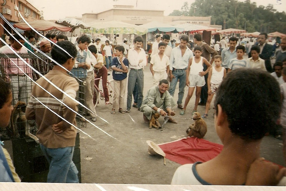 MARRAKESH - MAROCCO piazza centrale