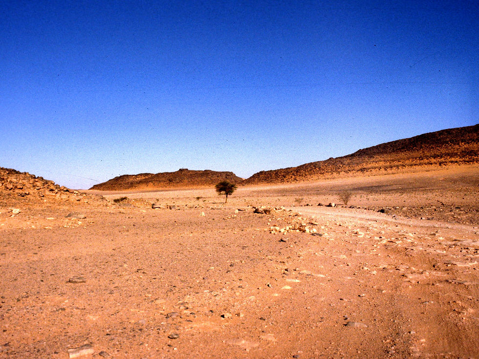 10009.JPG