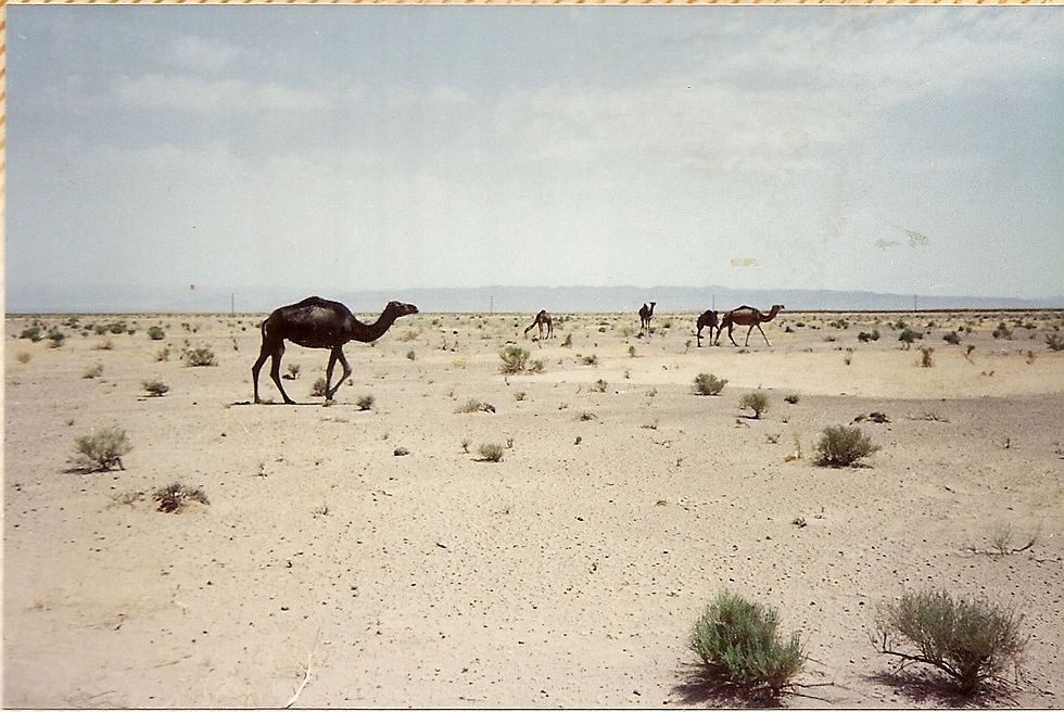BENI ABBES - ALGERIA