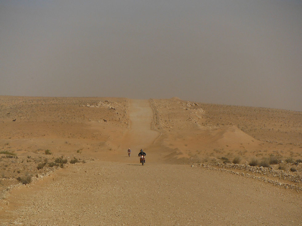 DSCF0547.jpg
