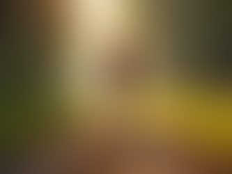 The Importance of Fitness for a Healthy Lifestyle