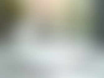 Understanding the Concept and Benefits of Fractional Consulting