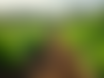 Overcoming the Challenges of Organic Farming for Sustainable Success