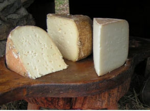 Miniature : Pyrénée Brebis