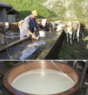 Miniature : Bienvenue sur le site  Le Goût du Vrai !