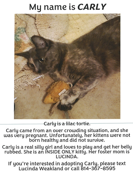Carlyupdated poster.jpg