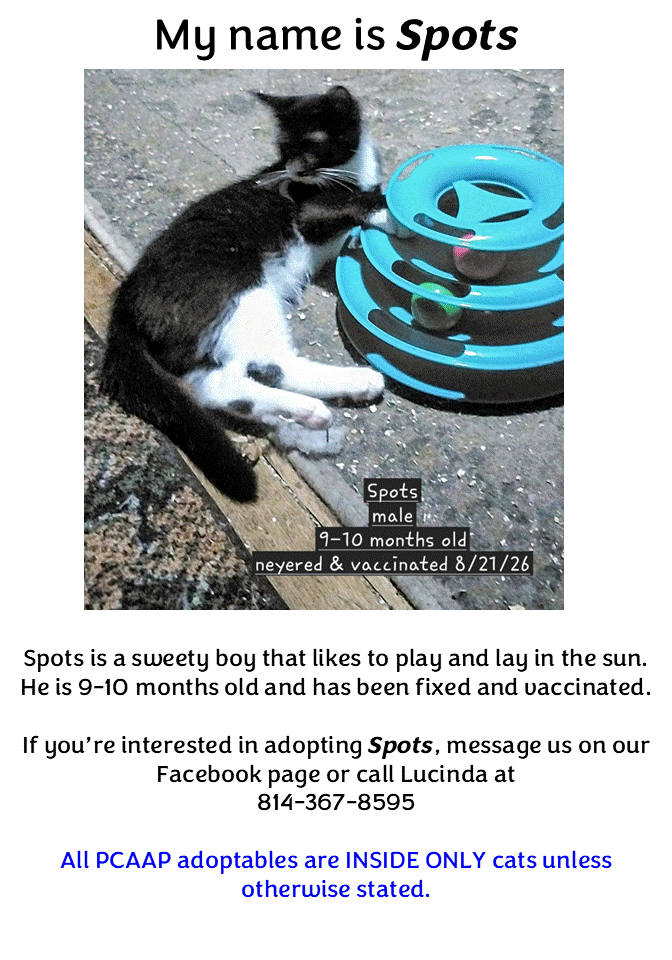 SpotsPoster.gif