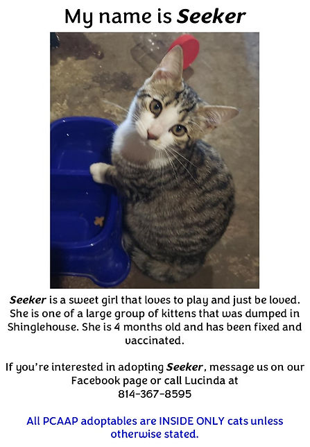 SeekerPoster.jpg