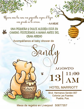 Invitación bby shower daris final.png