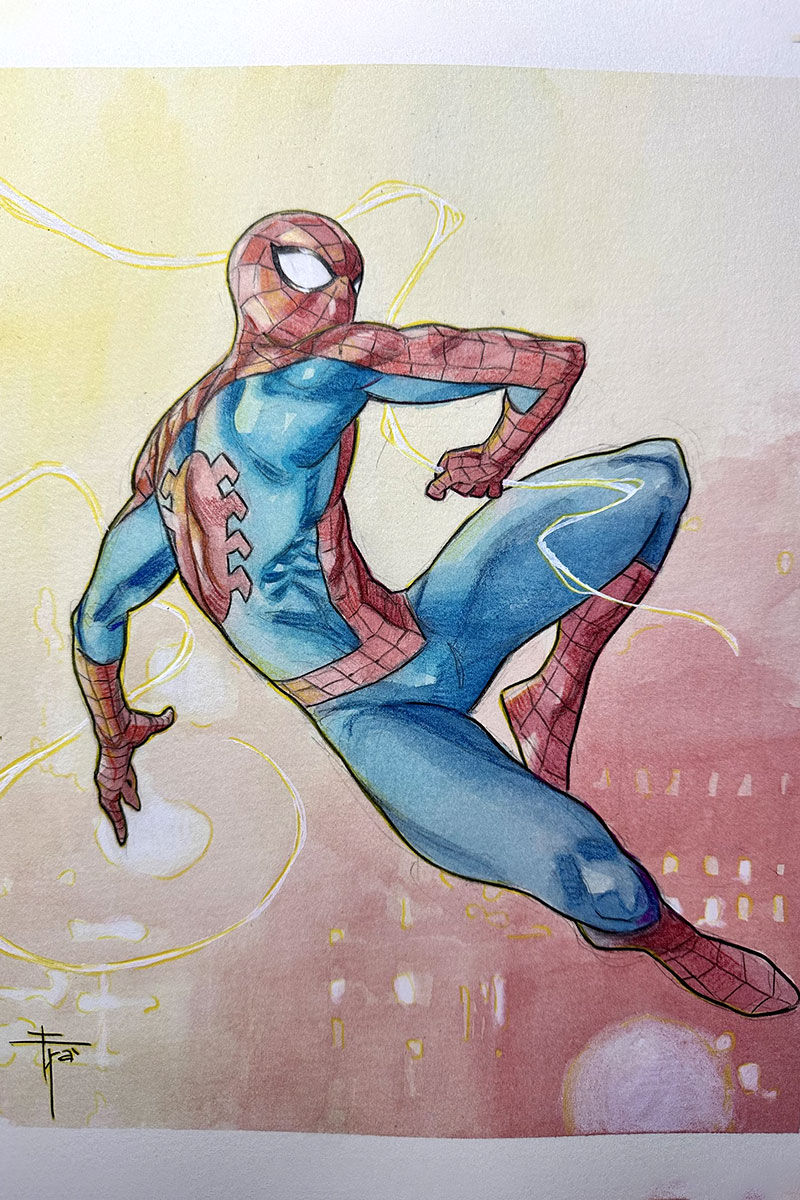 Spider-man Commission