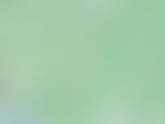 “BLACK SEPTEMBER” DECLARED IN MANIPUR TO CONDEMN ETHNIC VIOLENCE