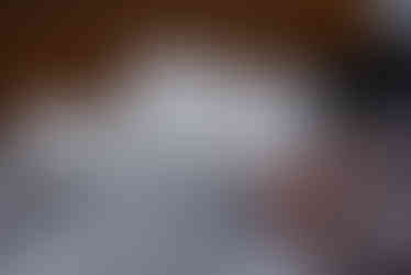 DPX_1337.jpg