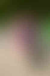 BCS_6619.jpg