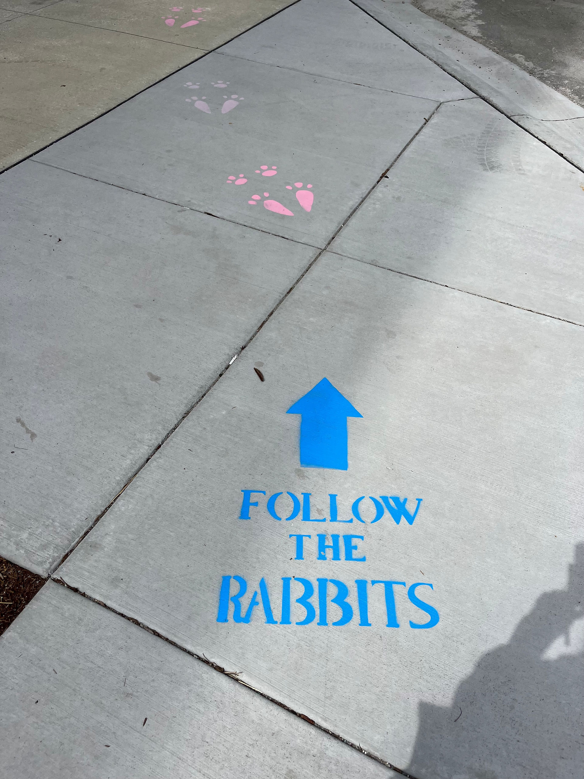 Sidewalk with paint that says "follow the rabbits"