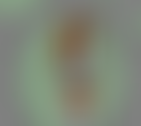 Rendering of the mighty bike as seen from above