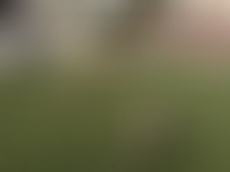Contra o Brasil, em casa, a última chance do Rubro para seguir em busca da vaga