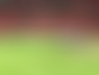 Dupla sai do banco e decide classificação do Internacional na fase preliminar da Libertadores