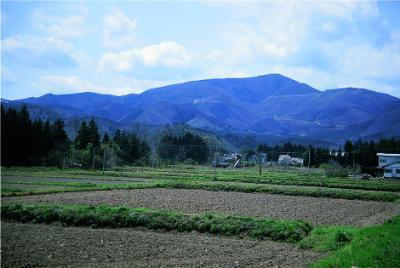 多田野の鍬柄舞田植え踊り