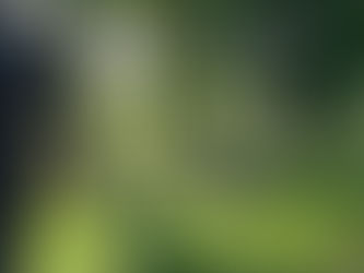 Walk Into The Life You Desire – See It Saturday