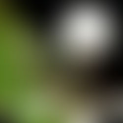 Esposizione ad Ostuni  per il Glowfestival