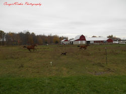 Running with friends