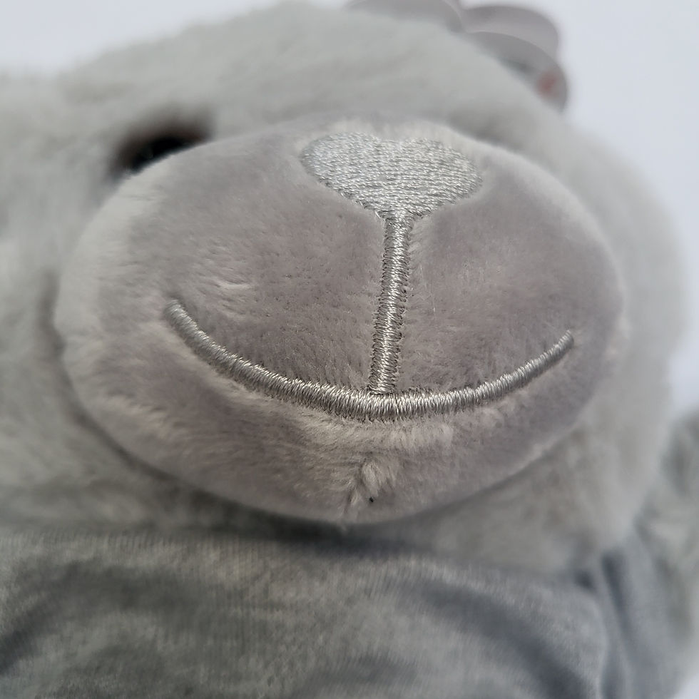 Thumbnail: Soft Bear with Tee
