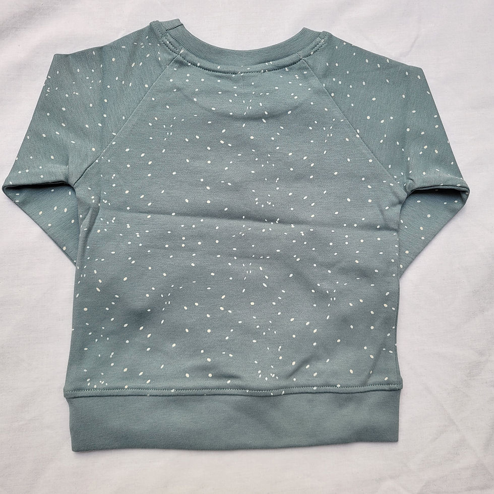 Thumbnail: Speckle Print Sweatshirt