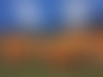 Arrangerte #Fotballlyst fest