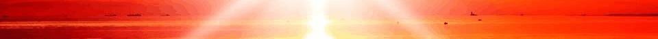Home page assortimet strook.gif