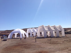 Spider y carpas 15x12.jpg