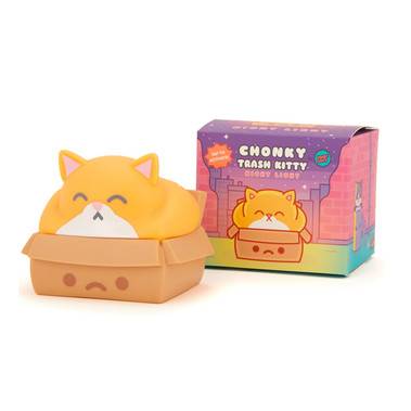 Chonky Trash Kitty Night Light.jpeg