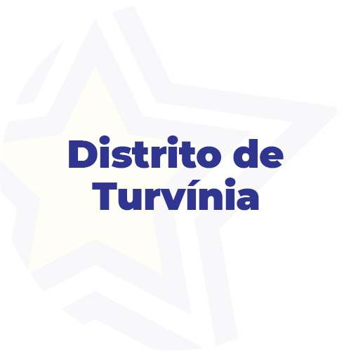 Turvinia
