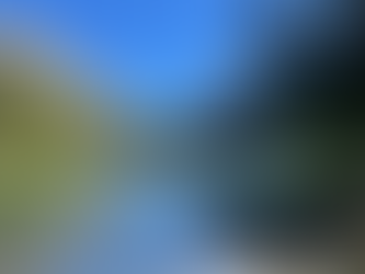 Chasing the Summit: The Thrill of Hiking in Engadin