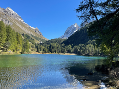Chasing the Summit: The Thrill of Hiking in Engadin
