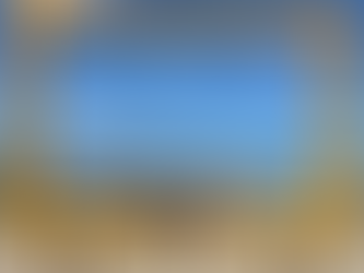 South Africa: a dream come true