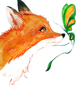 Snails & Turkey Tails Nature School