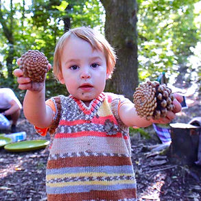 babypinecones_edited_edited_edited.jpg