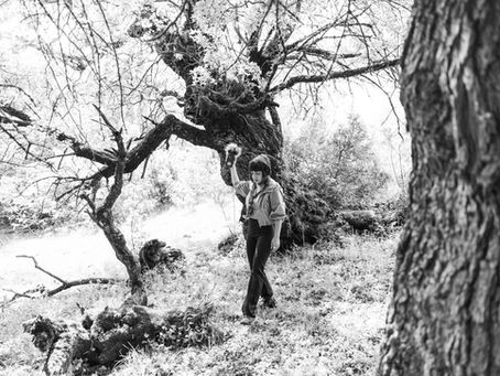26.07. 14-16Uhr I "Wild Ears" - Soundwalk