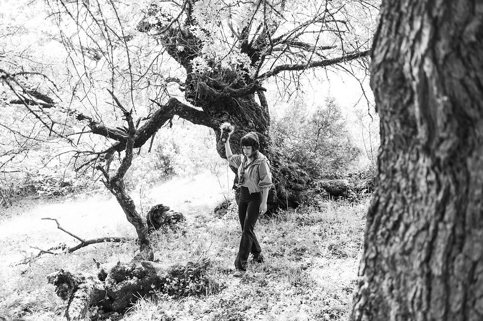 26.07. 14-16Uhr I "Wild Ears" - Soundwalk