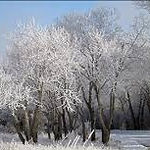 icy%20weather_edited.jpg