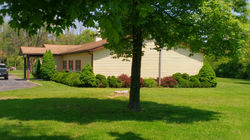 Side View with Tree