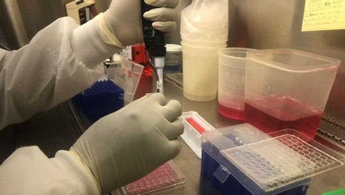 A Novel Platform for Culturing and Testing of Polymicrobial Communities