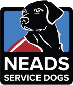NEADS