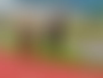 Laufen beginnen im Frühling – warum jetzt der perfekte Zeitpunkt ist (und warum es bisher vielleicht nicht geklappt hat)